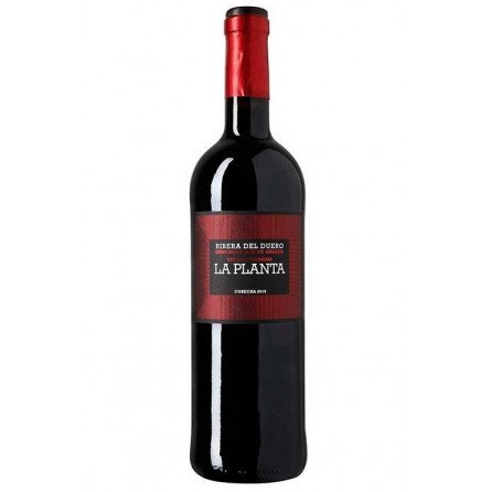 VINO LA  ARZUAGA